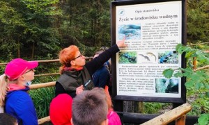 Szkoła Podstawowa nr 2 w Rabce