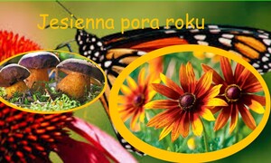 SzkoĹa Podstawowa nr 2 w Rabce