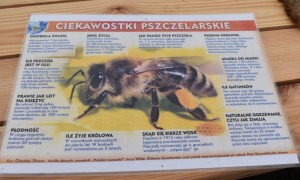 Szkoła Podstawowa nr 2 w Rabce