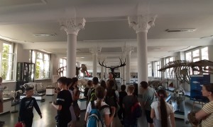 Szkoła Podstawowa nr 2 w Rabce
