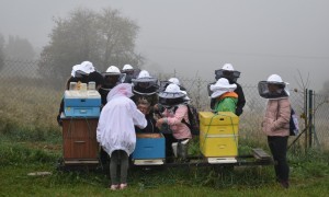 Szkoła Podstawowa nr 2 w Rabce