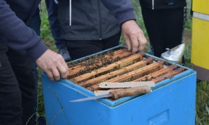 Szkoła Podstawowa nr 2 w Rabce
