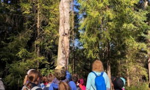 Szkoła Podstawowa nr 2 w Rabce
