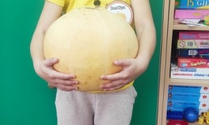 Szkoła Podstawowa nr 2 w Rabce