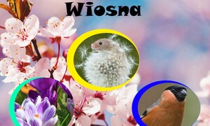 SzkoĹa Podstawowa nr 2 w Rabce