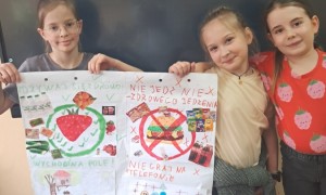 Szkoła Podstawowa nr 2 w Rabce