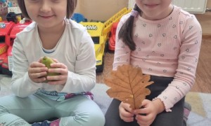 Szkoła Podstawowa nr 2 w Rabce